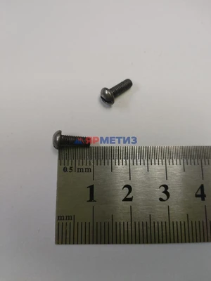 Винт 3х08мм с полукруглой головой шлицфото