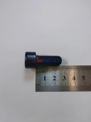 Болт 10х25х1,25мм внутренний шестигранник арт. 21045-1041124-008фото1