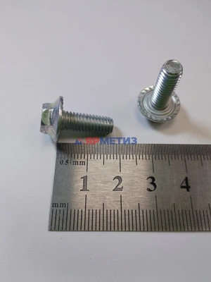 Болт 6х16мм с зубчатым буртиком арт. 00001-0038364-218фото