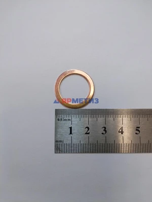 Шайба 18х24х1мм медная (масляного фильтра) 6321фото