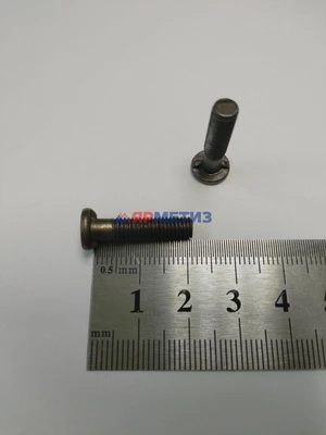 Винт подшипника генератора арт. 2101-3701409фото
