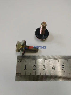 Винт 6х20мм с шайбой (8689)фото1