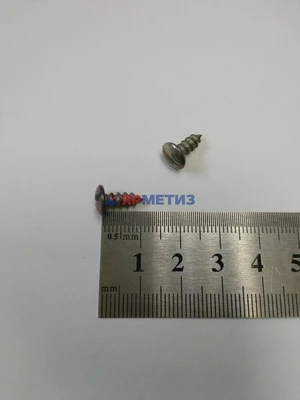 Винт 4х10мм плоский шлиц, обивки двери Волга самонарезающий арт. 240817-п29фото