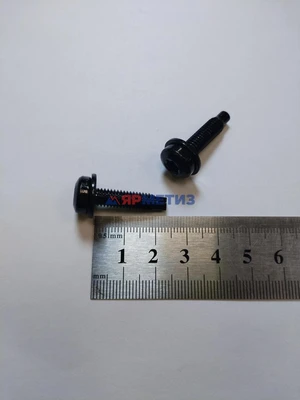 Болт 5,9х22,4мм Torx с шайбой - 13,8мм арт. Н2117фото2