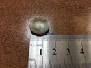 Заглушка сферическая блока цилиндров ВАЗ, D-16 арт. 10158601