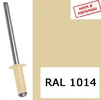 Заклепка 4,8х10мм вытяжная комбинированная RAL1014, бежевый