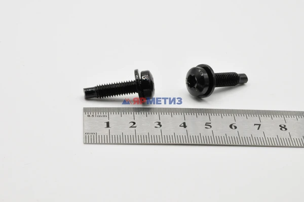 Винт 6х22мм с шайбой Torx арт. 7944