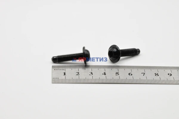 Винт 6х24мм прессшайба VW Torx арт. 7965