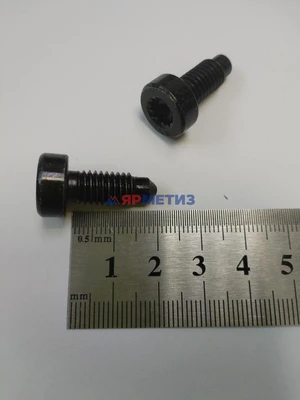 Винт 8х19мм VW Spline арт. 7961