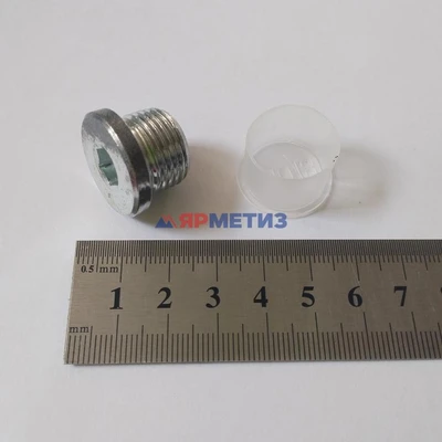 Пробка 18х1,5мм магнитная КПП ГАЗель NEXT арт. 31029-1701098
