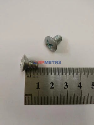 Винт 6х10мм крепления замка двери 2101 арт. 00001-0033127-018