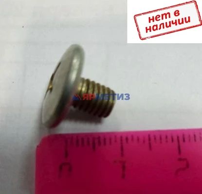 Винт 6х08мм направляющей стекла (104/1)