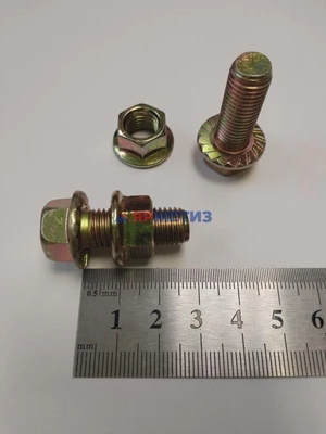 Винт 10х25мм универсальный с гайкой (6060)