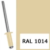 Заклепка 4,8х10мм вытяжная комбинированная RAL1014, бежевый