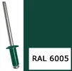 Заклепка 4,8х10мм вытяжная комбинированная RAL6005, тёмно-зелёный