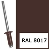 Заклепка 3,2х08мм вытяжная комбинированная RAL8017 коричневый