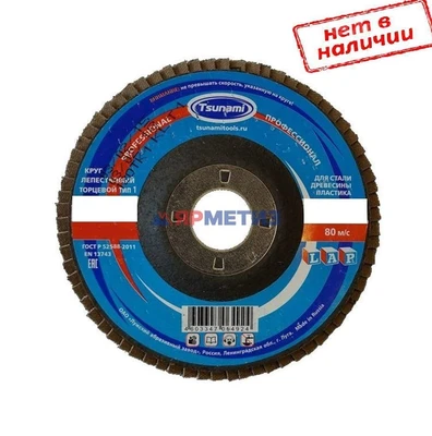 Круг 125х22мм A60 (14А 60/Р60) лепестковый PROF TSUNAMI